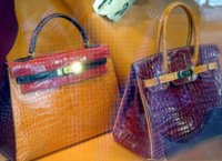 birkin-bicolor-croc.jpg