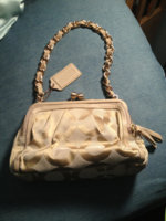 ImageUploadedByPurseForum1397270523.549463.jpg