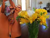 ImageUploadedByPurseForum1397508201.947950.jpg