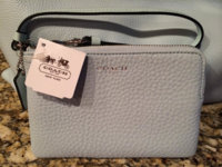 ImageUploadedByPurseForum1397562377.927978.jpg