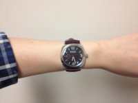 Pam337.JPG