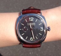 Pam337_2.JPG