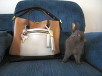 EasterBunny2014_002.jpg