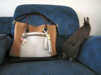 EasterBunny2014_001.jpg