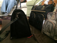 ImageUploadedByPurseForum1398308930.954034.jpg