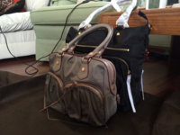 ImageUploadedByPurseForum1398309556.952970.jpg