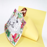 Hermes-Mythiques-Phoenix-Scarf-Spring-2014-Ad-Campaign.jpg
