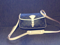 ImageUploadedByPurseForum1398809808.914050.jpg