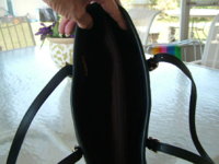 DSCF0364.JPG