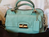ImageUploadedByPurseForum1401240753.702139.jpg