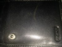 IMG_3586.JPG