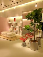 celine_omotesando_11-thumb-534x700-40188.jpg