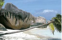 Tiga Island.png