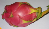 Pitaya.png