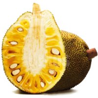 jackfruit_thailand_view1.jpg