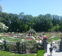 Rose Garden smaller.jpg