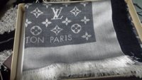 monogram denim.jpg