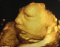 article-2668505-1F18547300000578-64_634x498.jpg