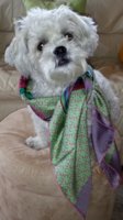 20140512_181311.jpg