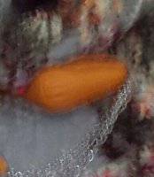 1404738707154.jpg
