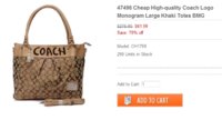 cheapcoachformintrade.com-a.jpg