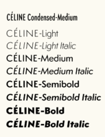 celine_styles.png