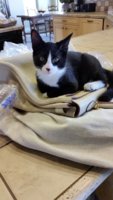 Phone import 8 9 14 024.jpg