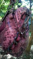 Python close side.jpg