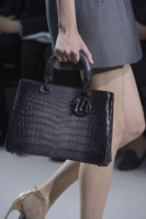 Dior-Diorissimo-Croc-Gradient-Bag-Spring-2013.jpg