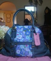HH bag.JPG