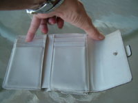 DSCF0889.JPG