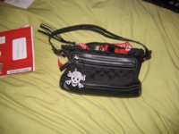 skull keyfob on purse 001.jpg