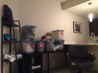 Munchkin guarding Collection.jpg