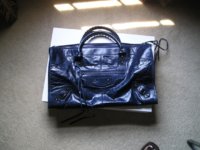 blueberry bag 002.jpg