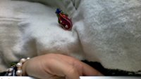 Bild3136.jpg