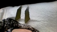 Bild3190.jpg
