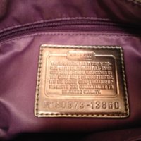 IMG_2911.jpeg