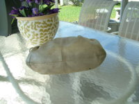 DSCF1077.JPG
