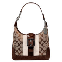 7053_Signature Stripe Small Hobo-d2.jpg