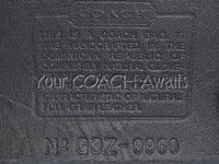 2003_Z-plant-DR-9960-sm.jpg