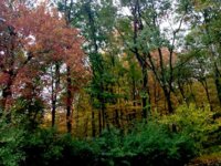 fall 2014 .jpg