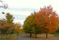 DSCN5498.jpg