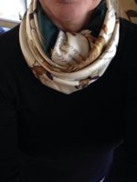 traite des armes cowl from MYH.jpg