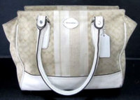 ImageUploadedByPurseForum1415271499.048121.jpg