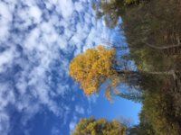 IMG_0364.JPG