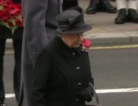 1415531210561_wps_7_remembrance_sunday00047_j.jpg