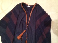 poncho 1.jpg