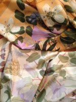 Flora Graeca side by side.JPG