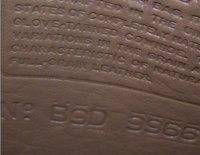 1999_D-plant-REAL-B9D-9966-b.jpg