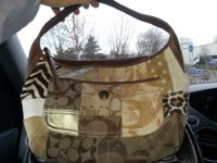 Coach10808#1.jpg